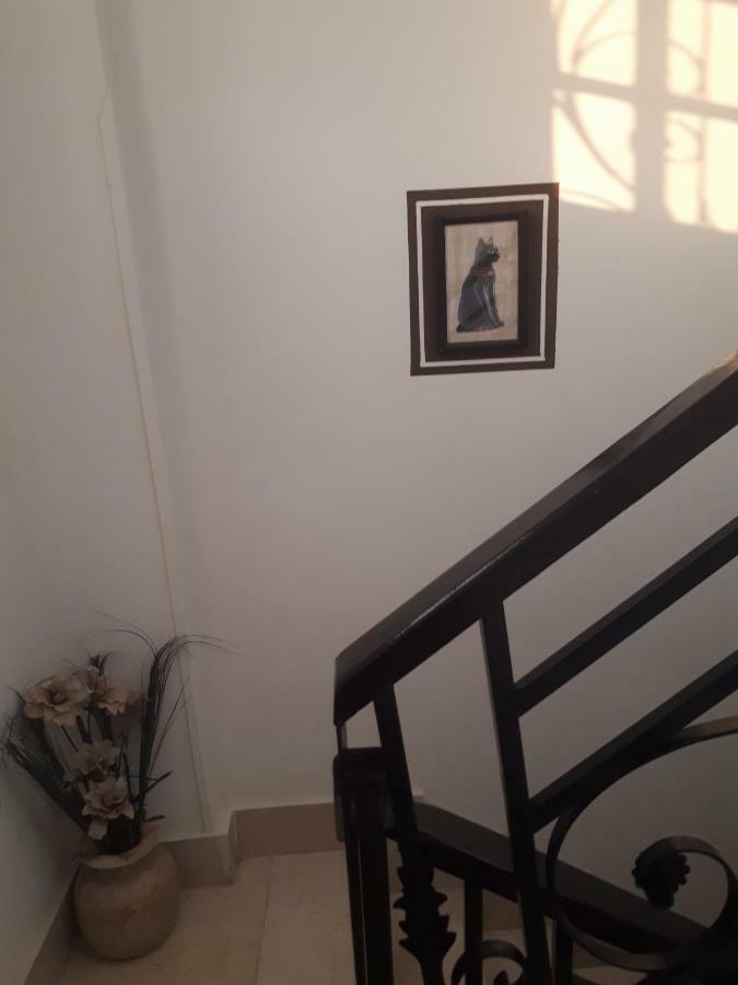 Angel Eyes House Διαμέρισμα Λούξορ Εξωτερικό φωτογραφία